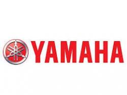 customer-logo