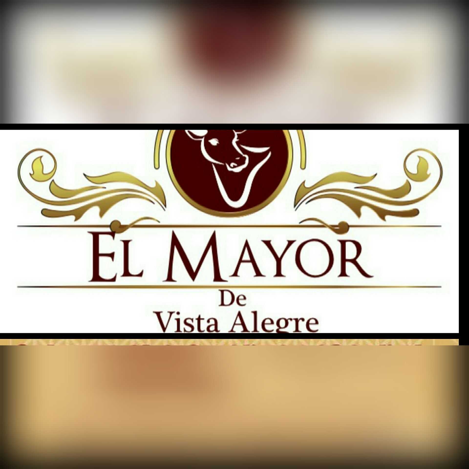 customer-logo